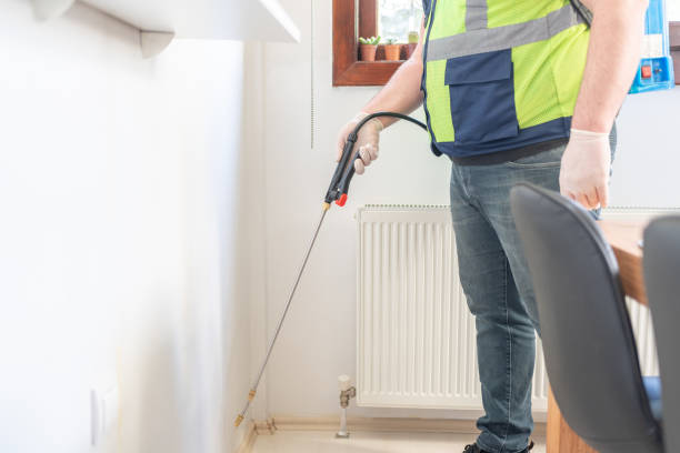 Best Bed Bug Extermination  in Micco, FL